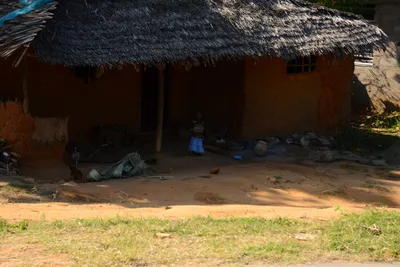 DSC_8310 (Large).JPG